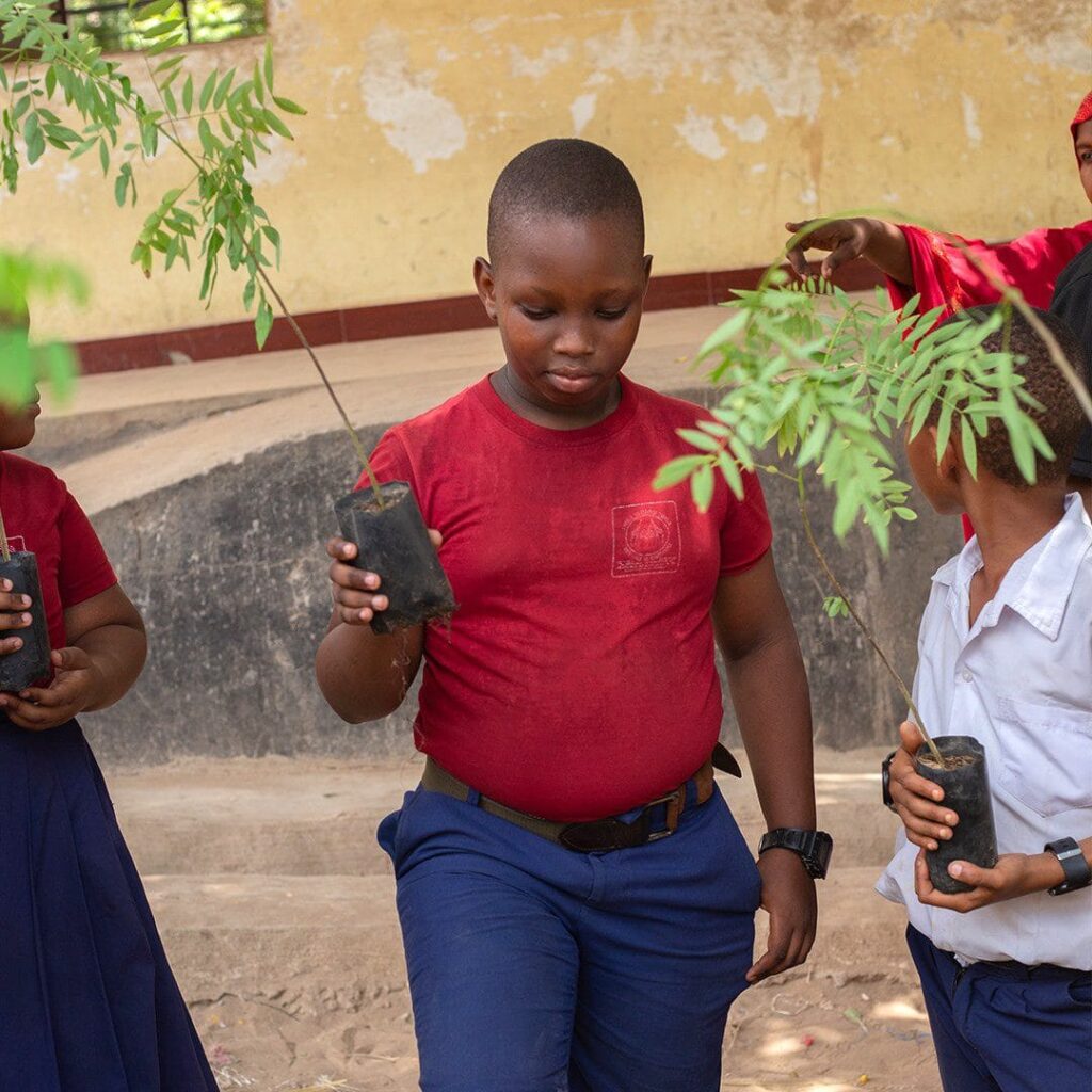 Tree planting 11 Art in Tanzania Green Works Africa